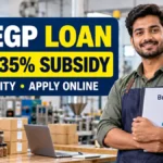 PMEGP Loan subsidy eligibility and online application
